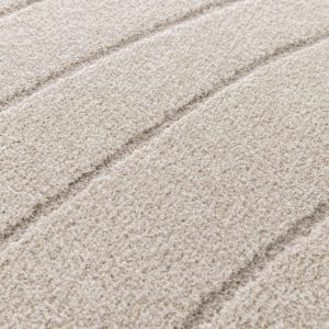 500203 2 | 500203 2 descoración 500203 2 | 500203 2 Descoración