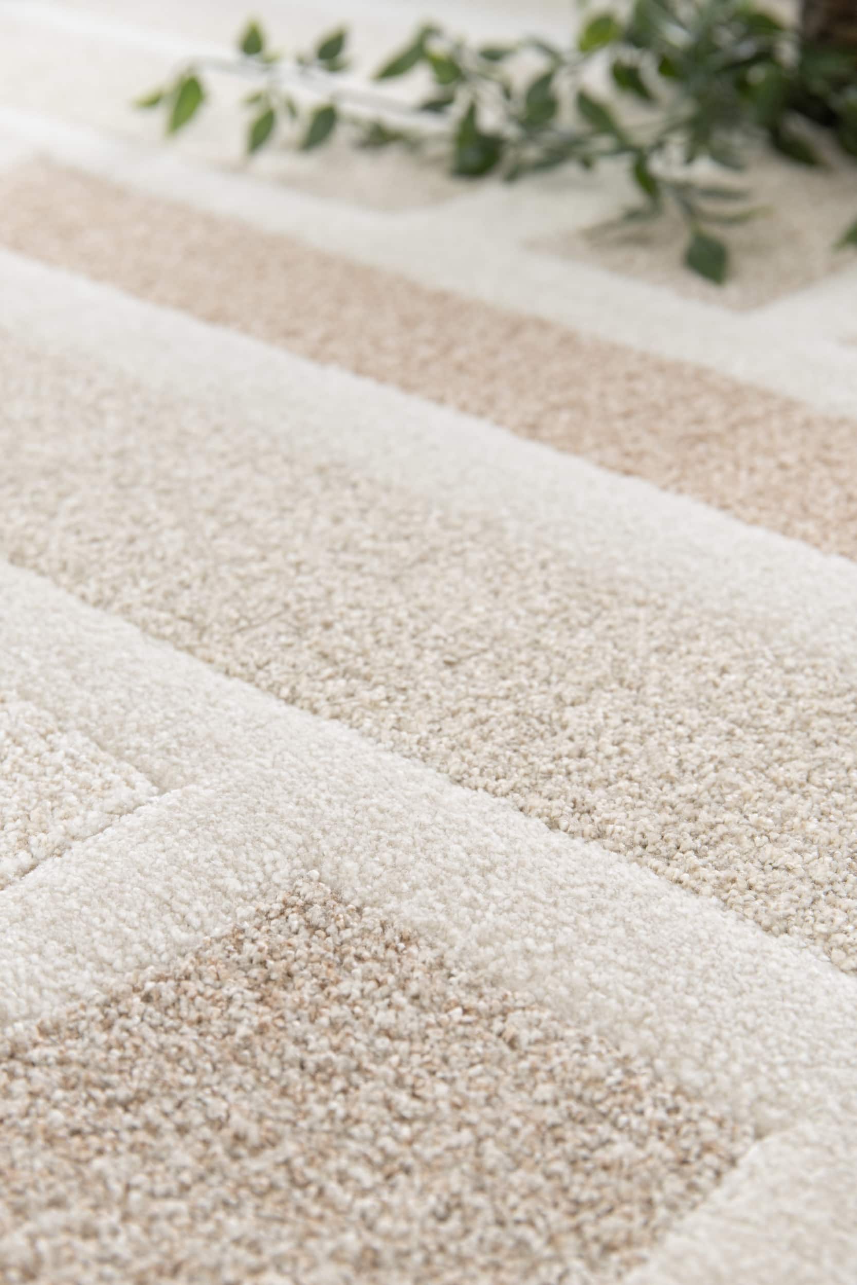 500219-10 500219 10 | 500219 10 Alfombra